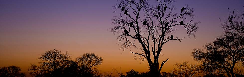 hluhluwe_safari