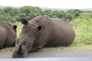 Isimangaliso Wetlands Park