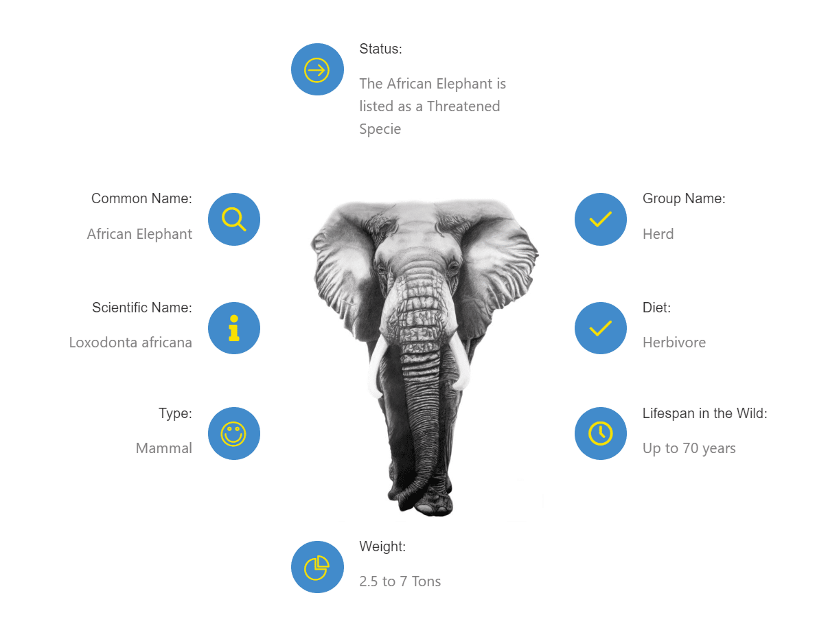Hluhluwe ELLEPHANT FACTS and information