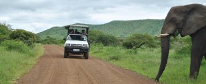 safari hluhluwe