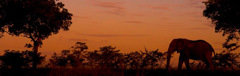 sunsetele_1