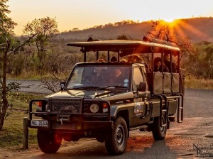 hluhluwe big 5 safari options