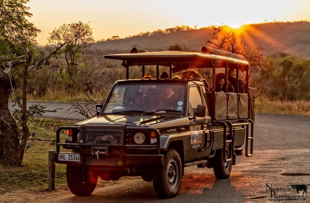 hluhluwe big 5 safari options
