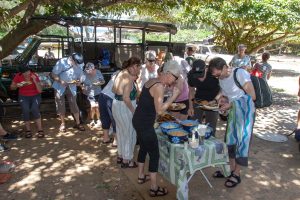lunch full day safari tour