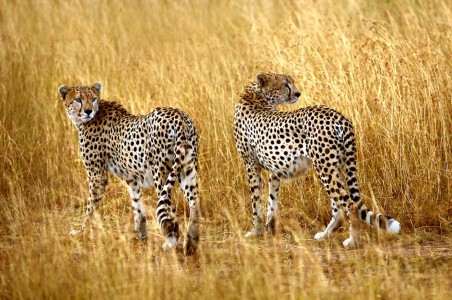 hluhluwe accommodation