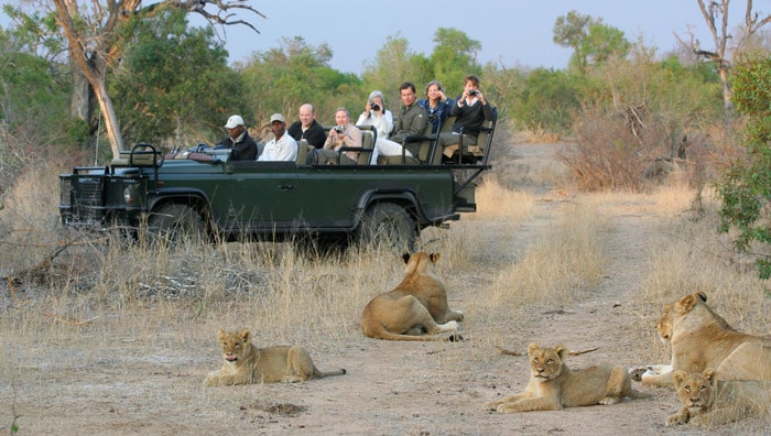 Wild Wings Safaris