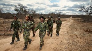 south africa poaching