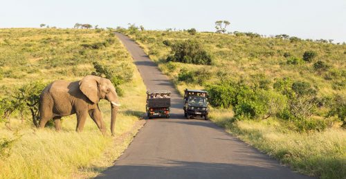 hluhluwe self drive safaris
