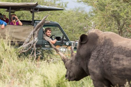 7 Day Exclusive Safari