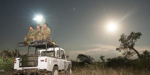 umfolozi rhino poaching unit