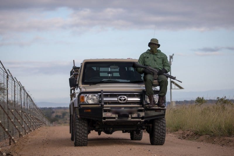 A private reserve on the borders of the Kruger reduced poaching by 96% after it upgraded its tech. Photo Jay Caboz