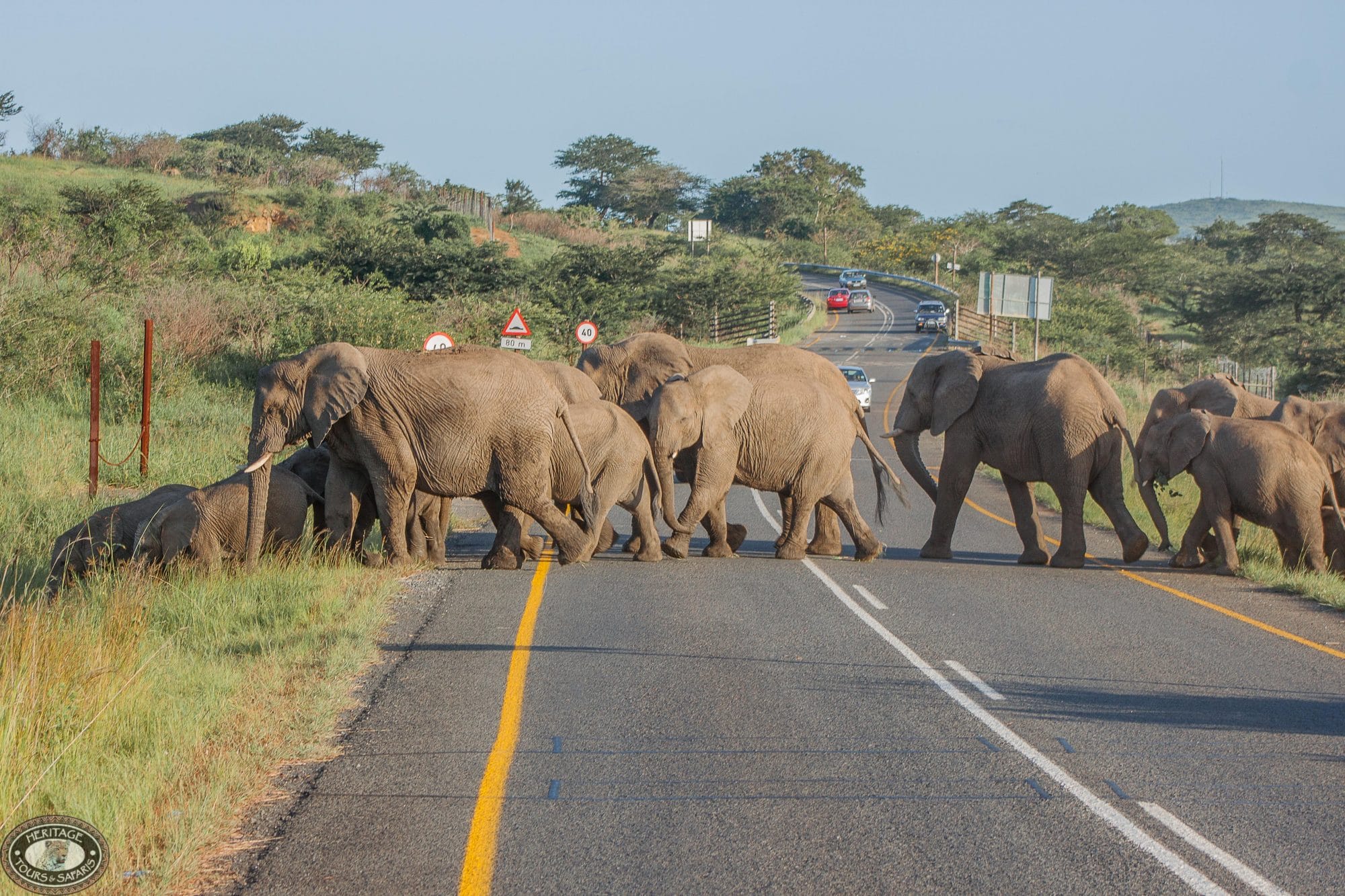 safari packages south africa
