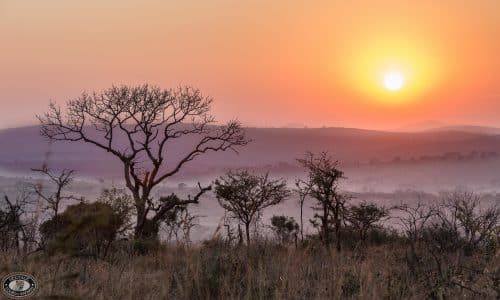 safari tour packages south africa