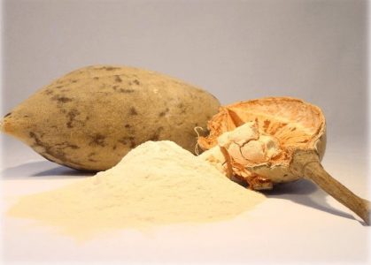 baobab fruit