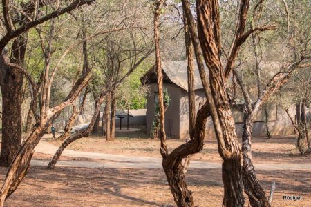 nselweni bush camp rates