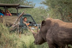 7 day exclusive safari
