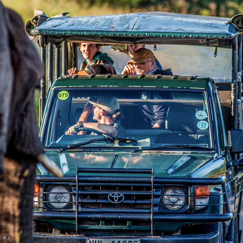 hluhluwe safari