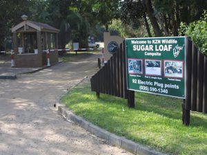 ST LUCIA CAMPSITE SUGARLOAF