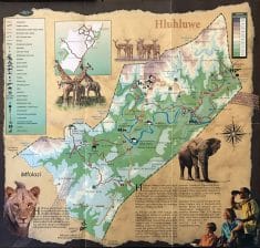 iMfolozi Game Park